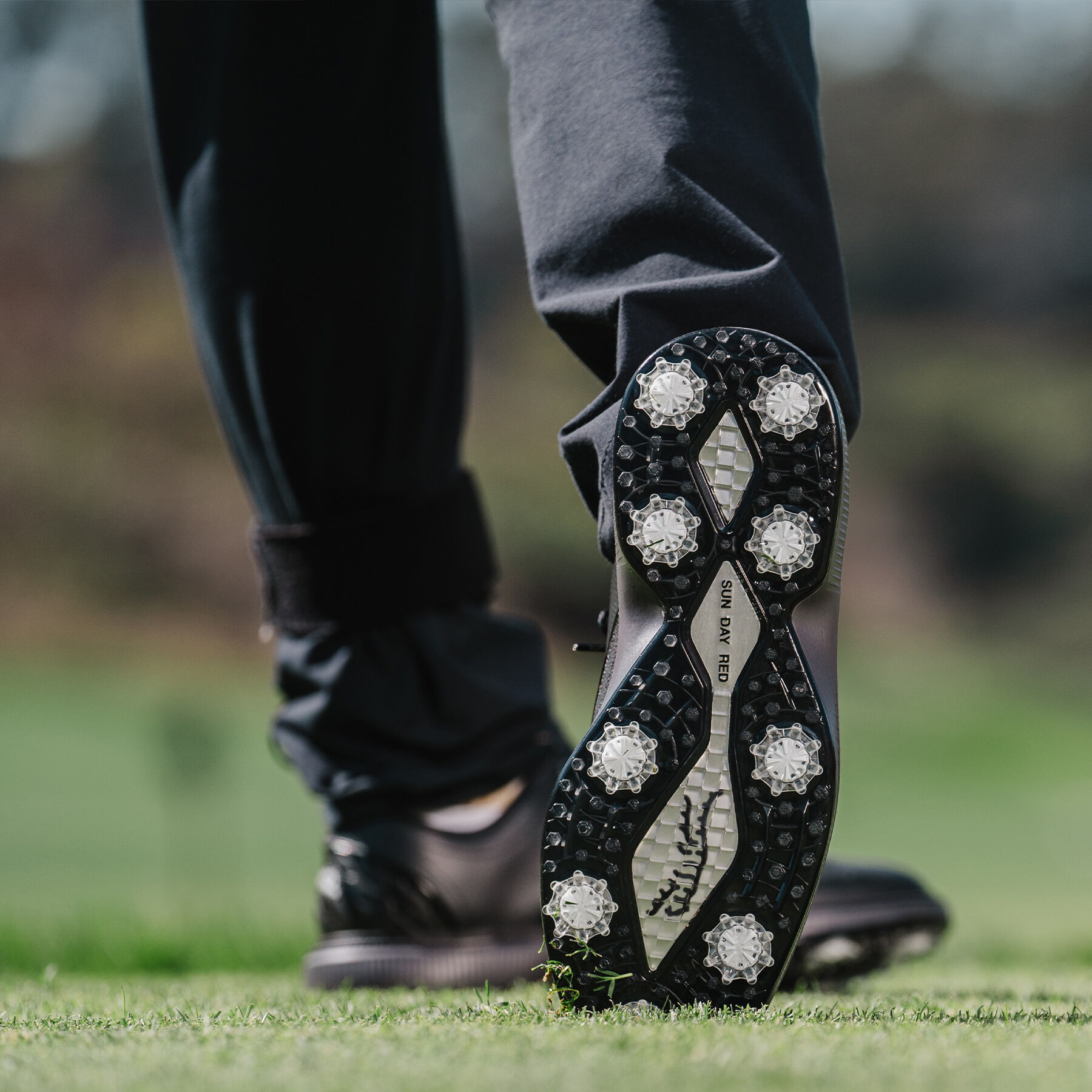 Tiger woods metal spikes clearance