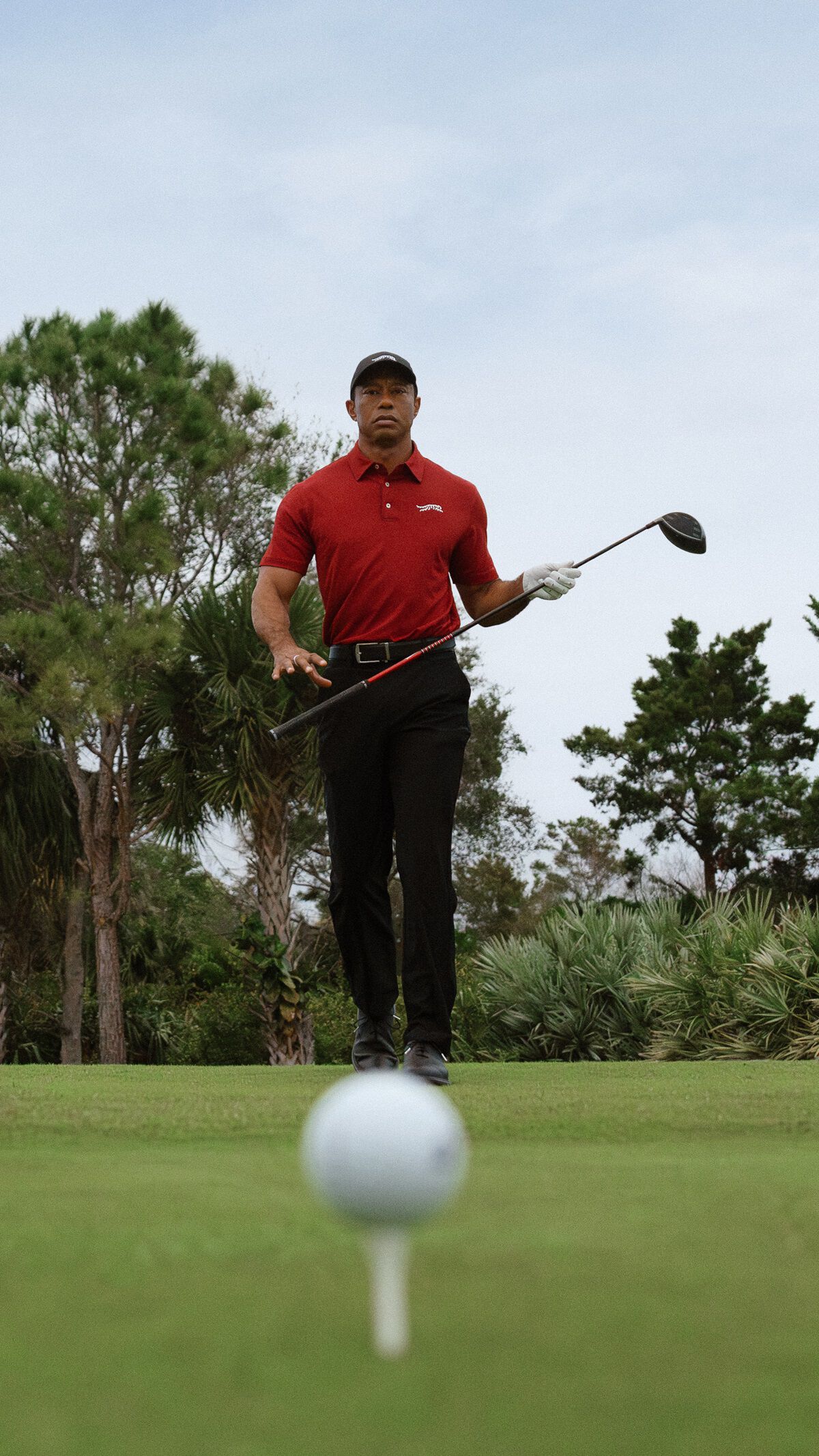 Sun Day Red by Tiger Woods