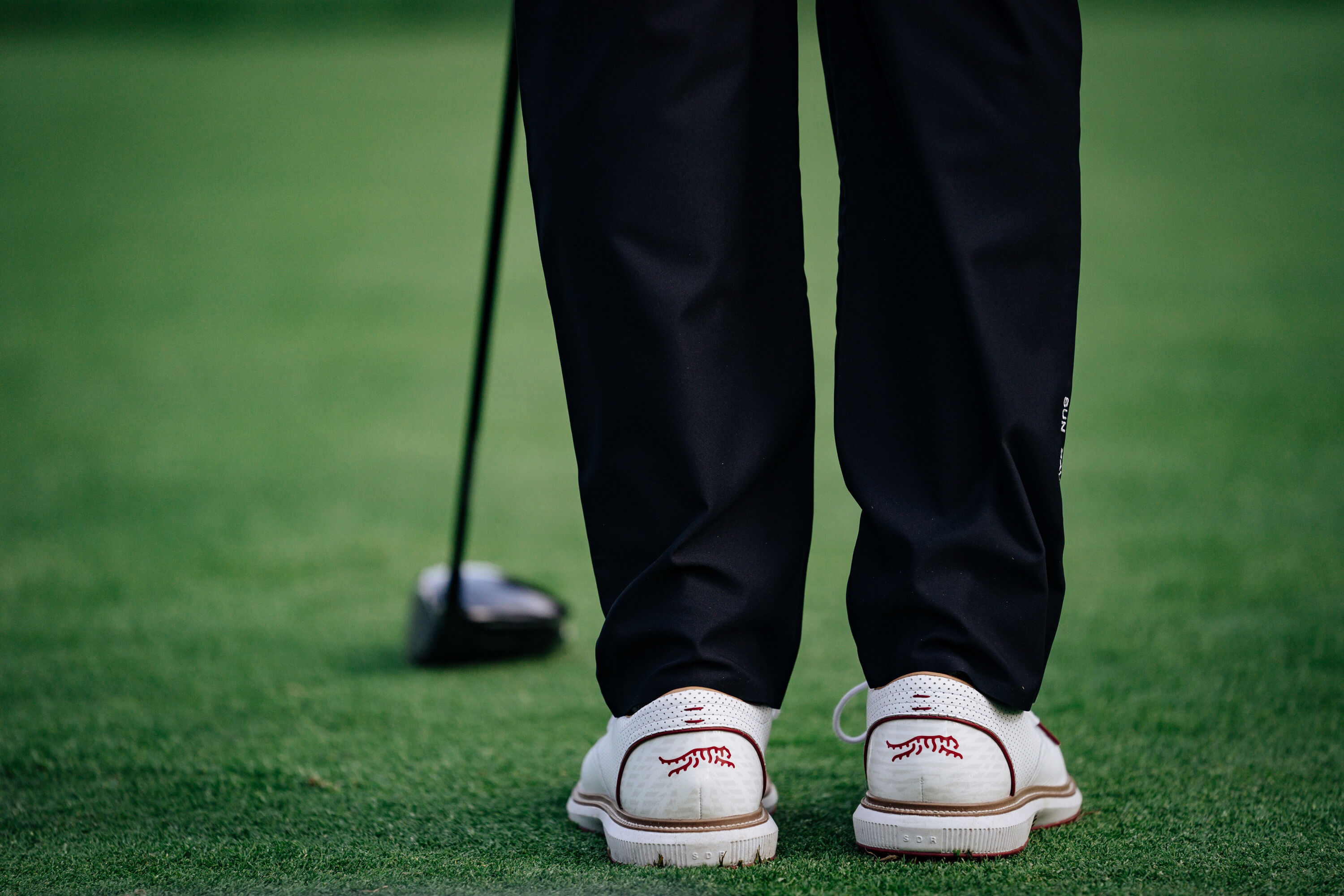 sun day red サンデ-レッド 3.stepping-into-a-new-era-5225