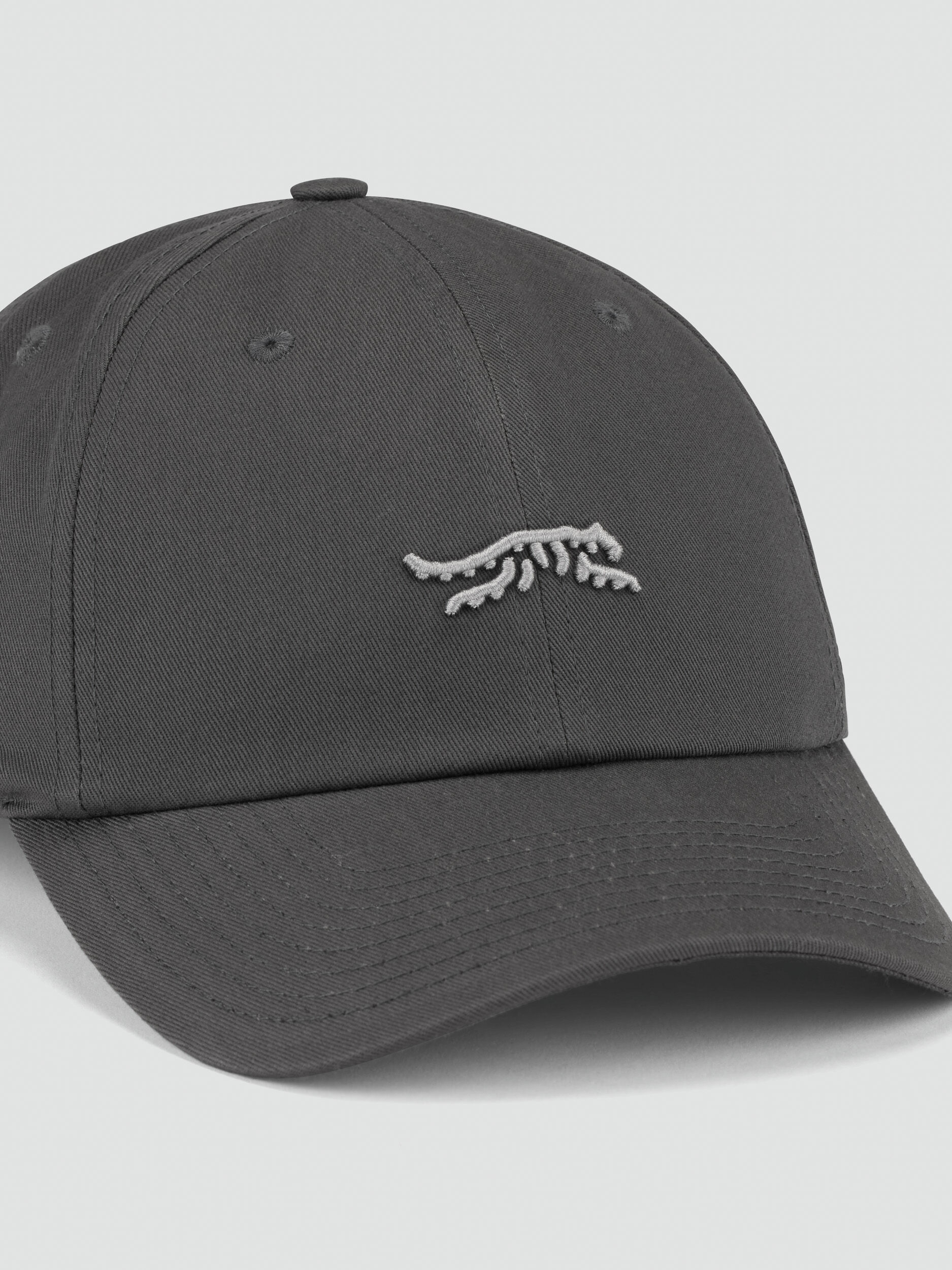 Icon 6 Panel Clipback Dad Hat | Sun Day Red