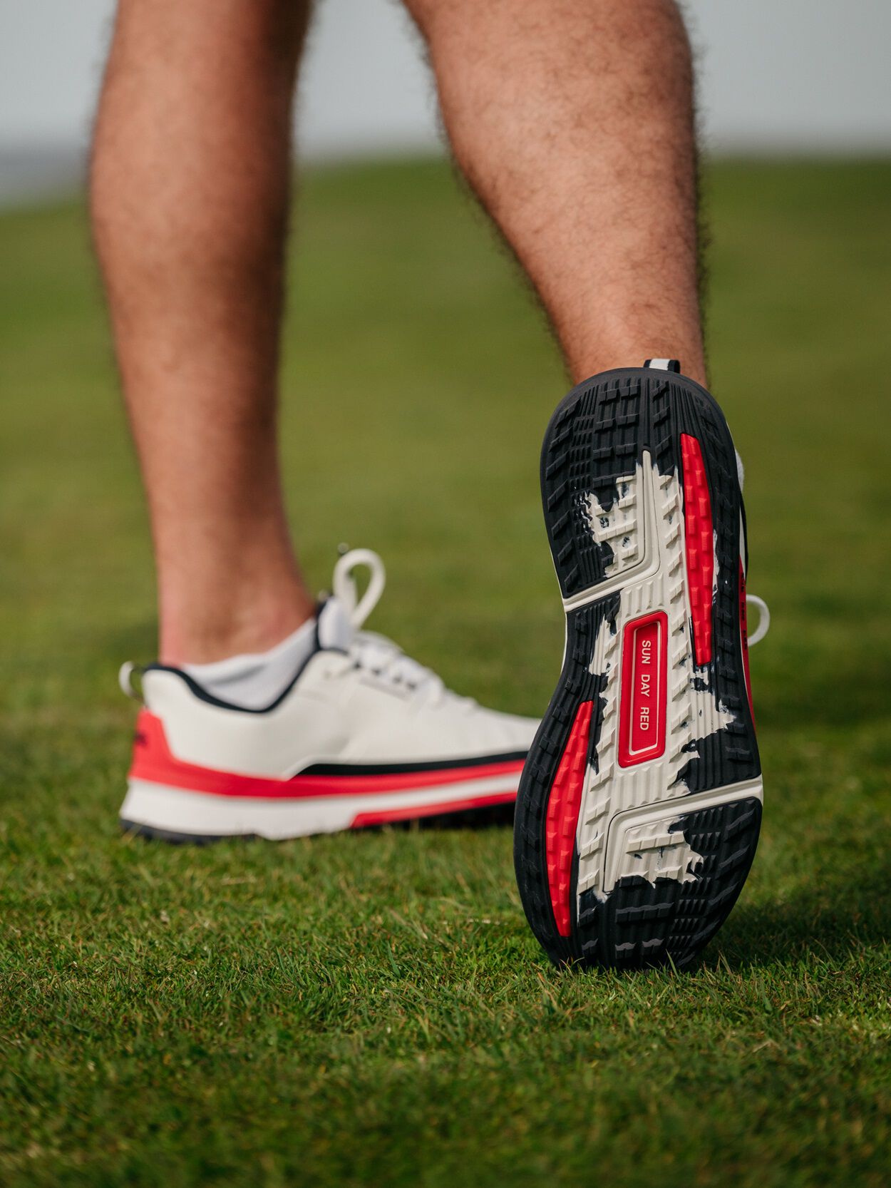 Presidio Limited Edition | Sun Day Red