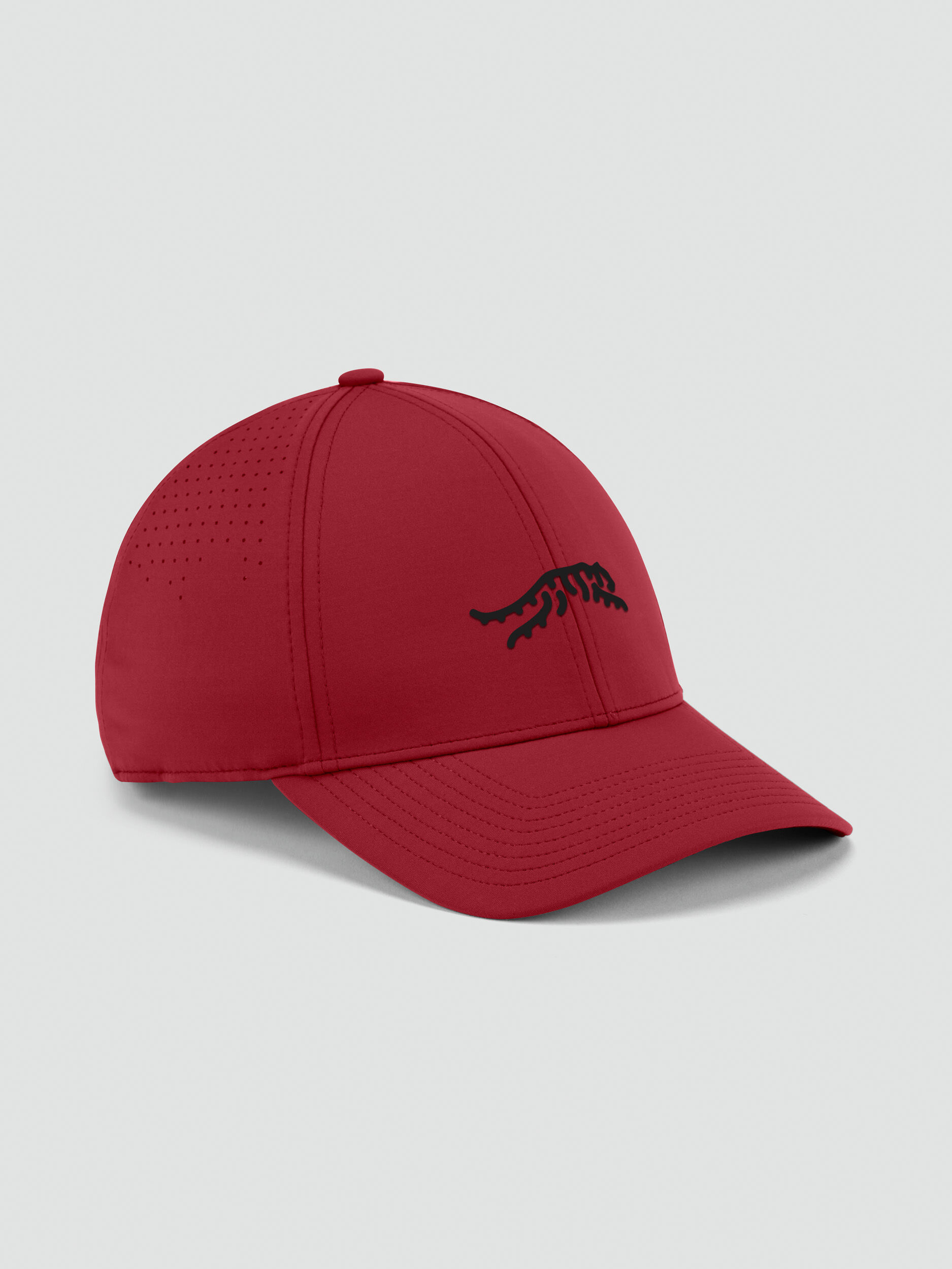 SHADOWS DIG TOUR CAP 赤 新品未使用 Cypress Tour 6 Panel Snapback Hat | Sun Day Red