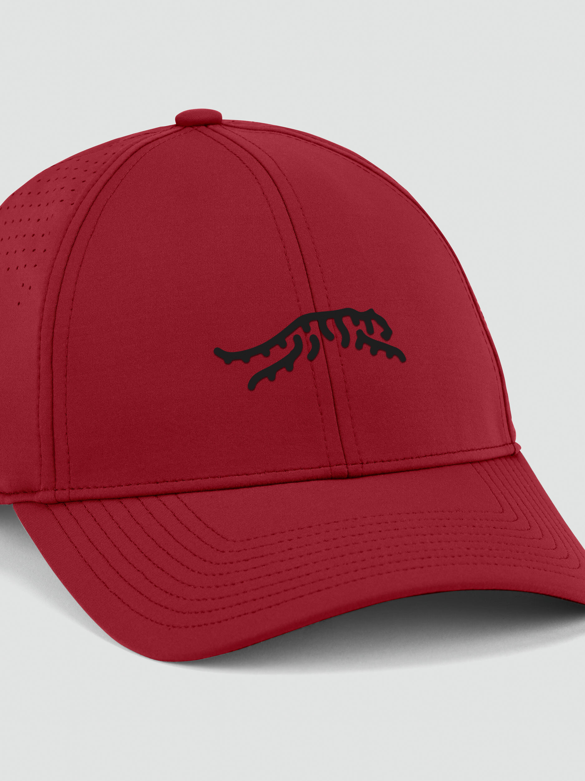 SHADOWS DIG TOUR CAP 赤 新品未使用 Cypress Tour 6 Panel Snapback Hat | Sun Day Red