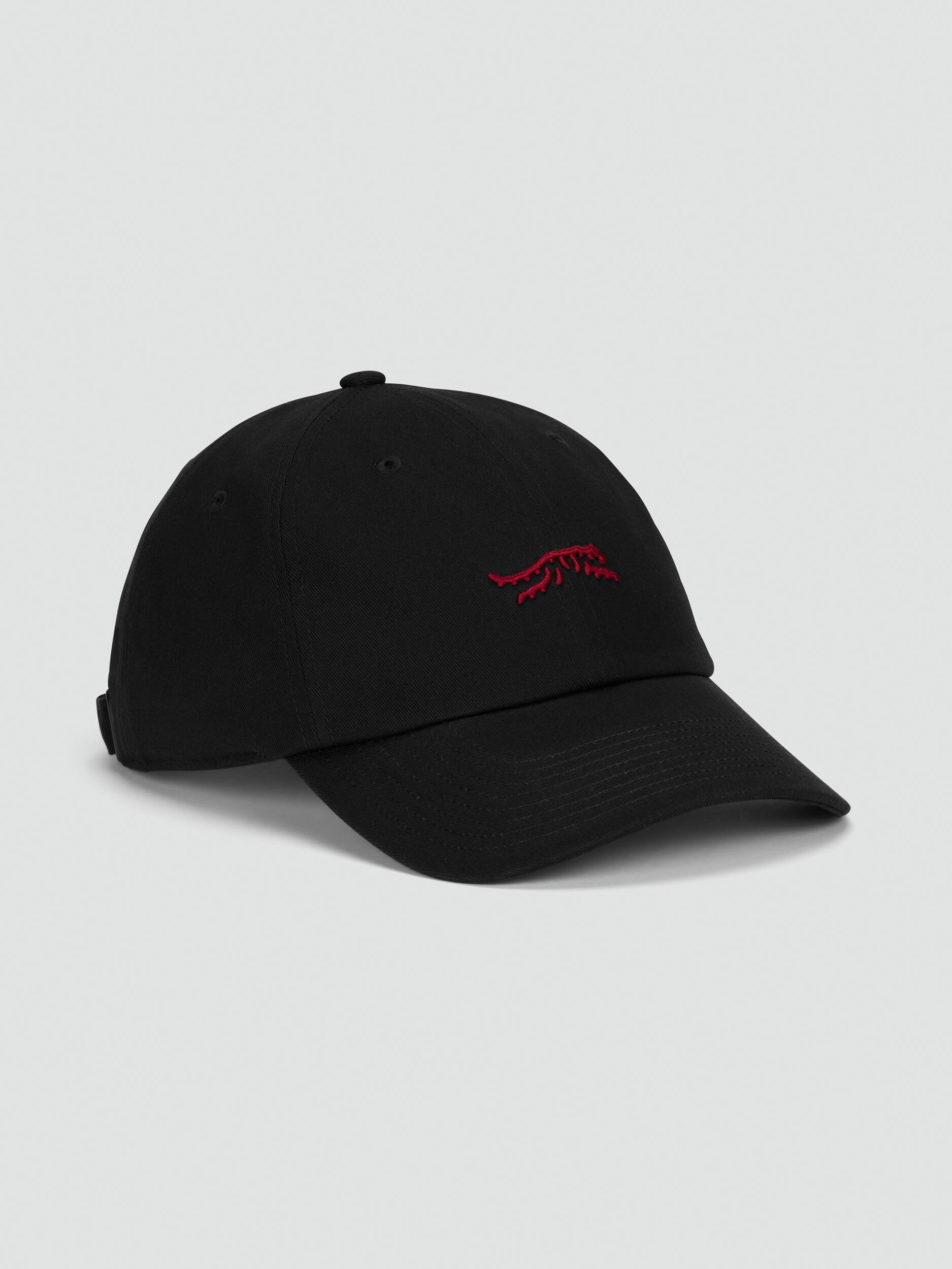 Icon 6 Panel Clipback Dad Hat | Sun Day Red